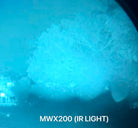 somogear wmx200 weapon mounted flashlight illumination under night vision