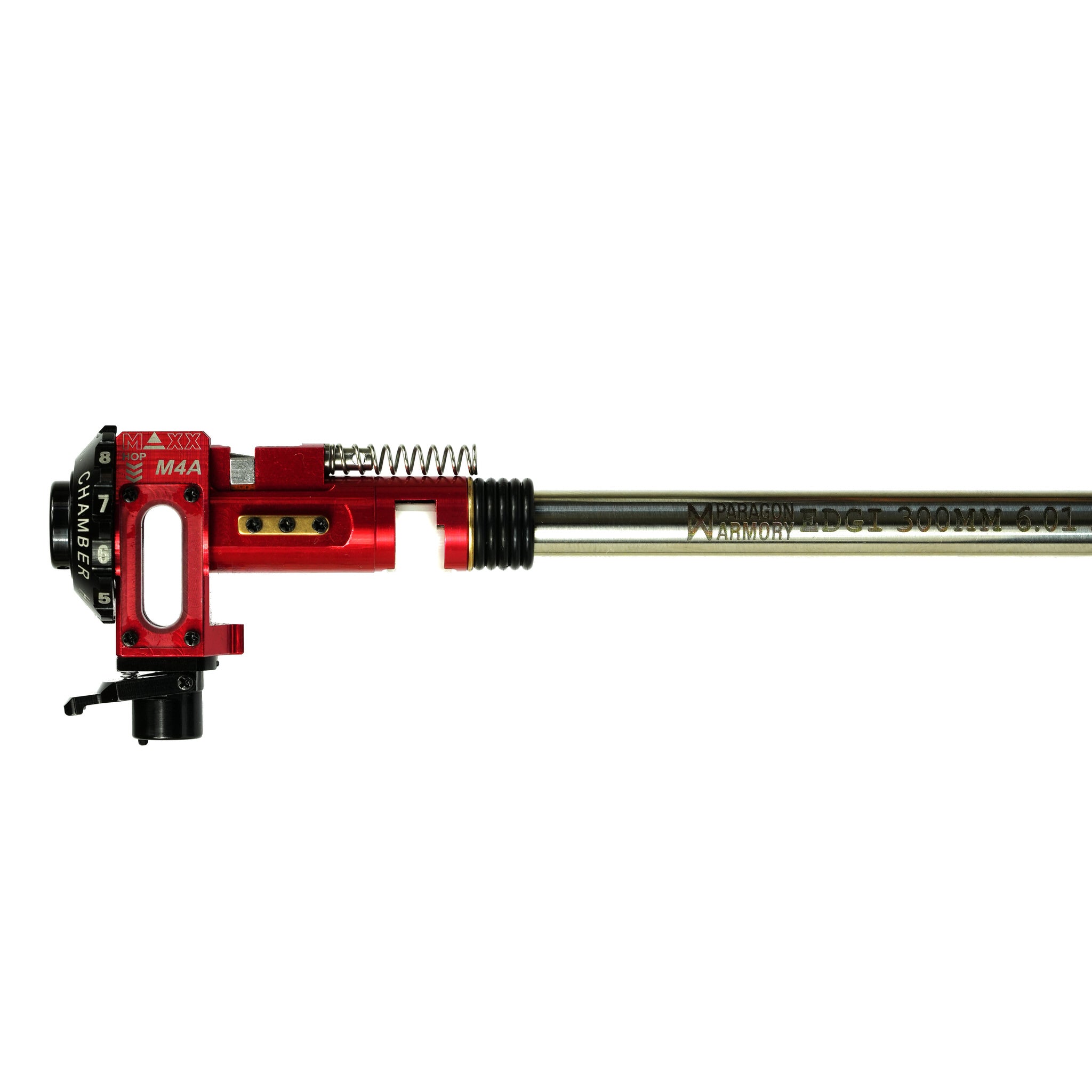 PERISOREUS INTERNIGRANS 一部欠品有 Sichuan Jay - Perisoreus